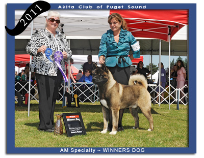 2011 ACPS AM Winners Dog